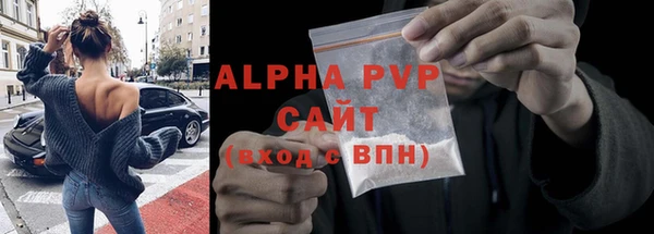 стафф Ельня