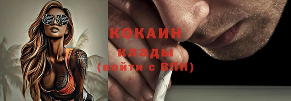 стафф Ельня