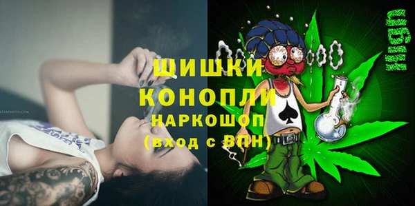 стафф Ельня