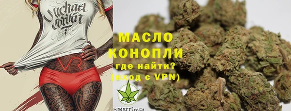 стафф Ельня