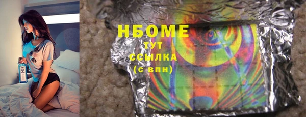 стафф Ельня