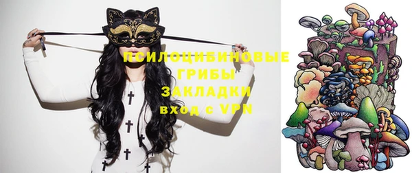 стафф Ельня